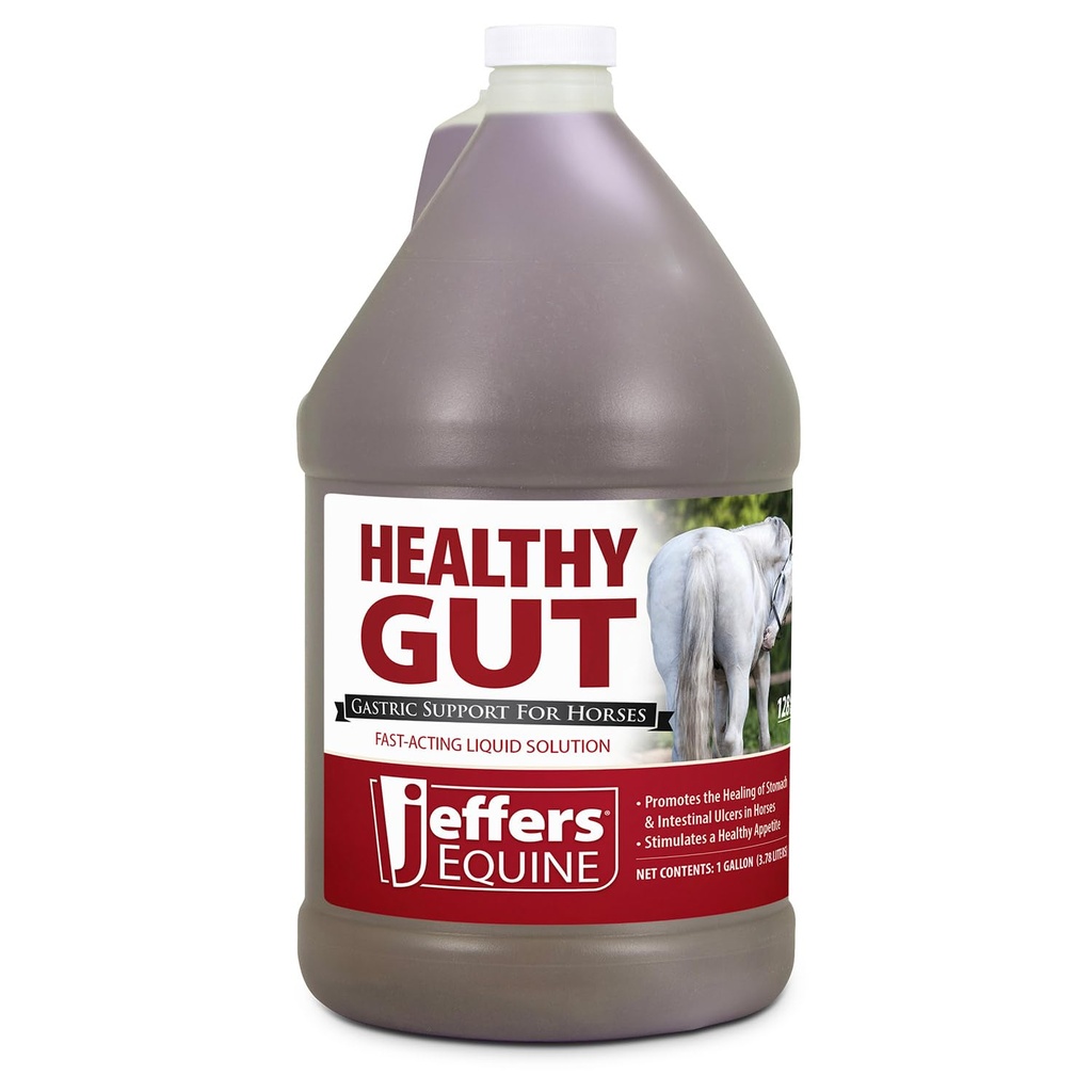 Jeffers Equine Healthy Gut Gastric Support – Liquid Digestive Supplement for Horses Prone to Ulcers – Easy to Feed Formula, Supports Gut Comfort & Digestive Balance – 1 Gallon (128 Day Supply)