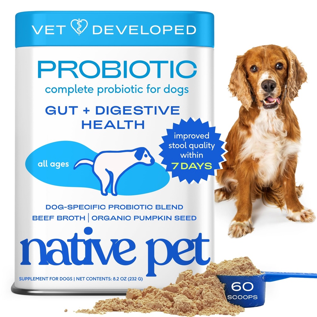 Native Pet Probiotics for Dogs – Dog Probiotic Powder for Gut & Digestive Health, Vet-Formulated 6B CFUs Dog-Specific Probiotic Strains, Supports Stool Quality & Diet Transitions – 60 Scoops