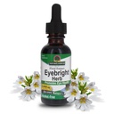 Απάντηση της φύσης Eyebright Herb 