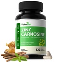 Zinc Carnosine & Mastic Gum Capsules with DGL Licorice – Stomach Support & Gut Lining Supplement – Digestive Comfort for Sensitive Stomach – PepZin GI Complex – 120 Capsules