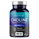 PLANT.O NUTRITION Choline Phosphatidyl Supplement | High Potency 430mg Phospholipid Complex | Promotes Energy, Liver, Brain, & Cognitive Health | 60 Softgels