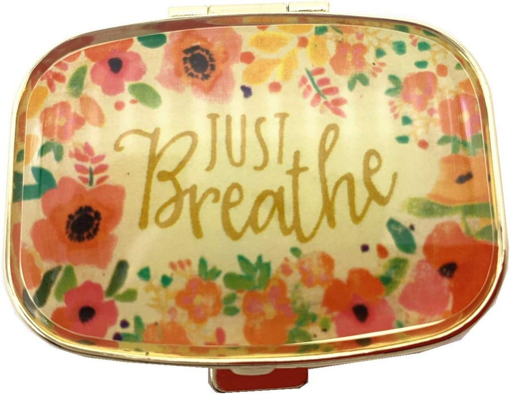 AmyZone Metal Pill Organizer Ταξίδι φιλικό Φορητό Compact Pill Box Pill περίπτωση για να κρατήσει τις βιταμίνες / Tylenol / Fish Oil / Συμπληρώματα / Meds / Tablet για Punce / Pocket (Just Brease))