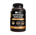 Αμιγώς πρωτότυπα συστατικά Boswellia Serrata (365 κάψουλες) Όχι Μαγνήσιο ή Ρύζι Fillers, Πάντα Αγνή, Εργαστήριο Επαληθευμένο