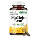 Wild & Organic Mullein Capsules - 4:1 Mullein Leaf Extract for Lungs - 120 Vegan Capsules - Herbal Lung Support Supplement - 4-Month Supply - No Fillers, Non-GMO, Gluten-Free