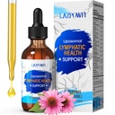 Lymphatic Drainage Drops – Liposomal Lymphatic Drainage Supplements with Echinacea 500mg, Elderberry, Burdock Root & Dandelion – Liquid Lymphatic Drops, 2 fl oz