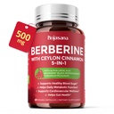 5-in-1 Berberine Complex 500mg with Ceylon Cinnamon | With Chromium, ALA & Black Pepper Extract, Immune Support* & Metabolic Wellness*, 60 Vegan Capsules, Non-GMO & Gluten-Free