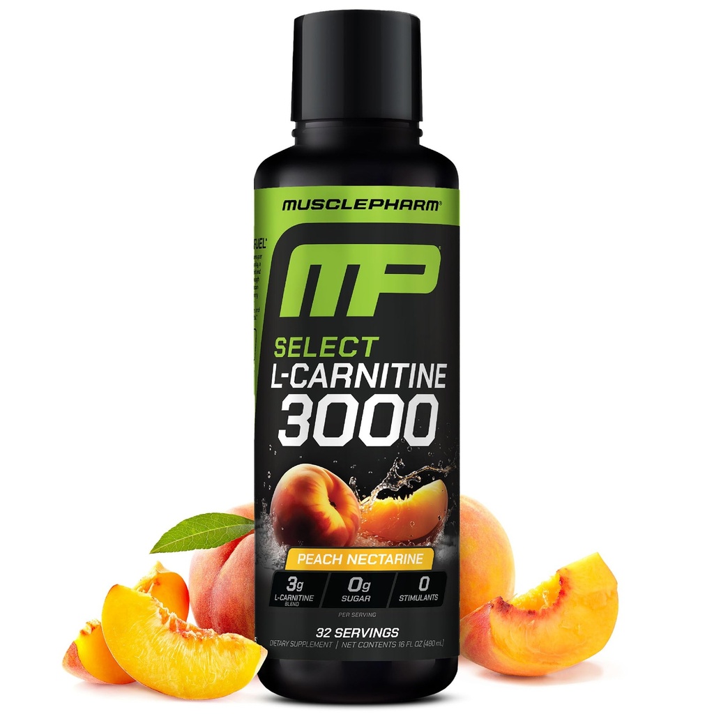 Μύες Pharm L-Καρνιτίνη 3000, Το Ultimate Liquid L Carnitine συμπλήρωμα για την υψηλή απόδοση, υποστηρίζει Μεταβολισμός, ενυδάτωση & ενέργεια, Zero Ζάχαρη, Χαμηλές θερμίδες, Ροδάκινο Nectarine Γεύση, 32 εξυπηρετούν