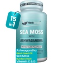 Herbtonics Sea Moss, Black Seed Oil, Ashwagandha, Burdock Root & ACV Complex 