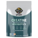 Creatine Monohydrate Powder for Women and Men by Garden of Life, Micronized Pre Workout with Probiotics for Muscle, Strength, Performance, Sport Amino Energy, About 60 Easy to Mix Unflavored Servings