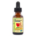 Παιδικά Echinacea Echinacea για παιδιά - Παιδικά Echinacea Drops, Υγρή Βάμμα, Αλκοόλ Δωρεάν Συμπλήρωμα για μωρά, Τόντλερς, Παιδιά - Φυσικό Πορτοκάλι, 1 fl Oz (Pack of 1)