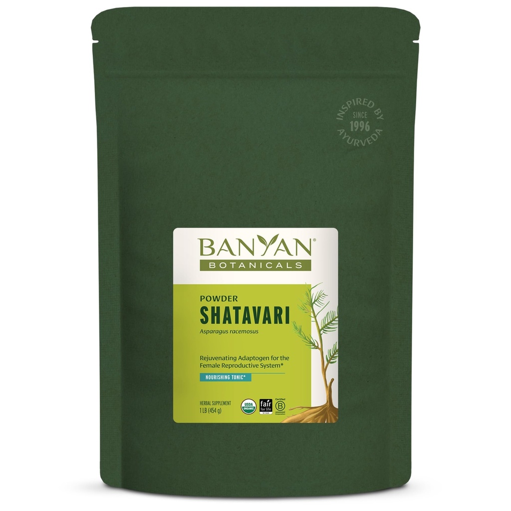 Banyan Botanicals Shatavari σκόνη – οργανικά σπαράγγια Racemosus Root powder – Rejuvenating Adaptogen Tonic που υποστηρίζει ένα υγιές αναπαραγωγικό σύστημα* – 1 lb. – Μη ΓΤΟ Βιώσιμα πηγάζει Vegan