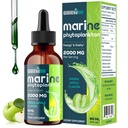Marine Phytoplankton Drops 2000mg - High Absorption Phytoplankton Supplement with Wheatgrass & Fo-ti for Cellular Wellness, Hair Growth, Energy & Immunity - Green Apple Flavor, 2 fl oz (Pack of 1)