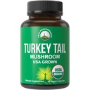 Κορυφή Performance Organic Turkey Tail Capses - USA Grown Made with Real Turkey Tail Mushroom. Υποστήριξη ανοσοποιητικού συστήματος Φυσικά Συγκομισμένα συμπληρώματα μανιταριών για την ασυλία. Εκχύλισμα συμπληρώματος Vegan