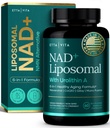 Liposomal NAD+ Supplement - Resveratrol, Urolithin A, CoQ10 & Giloy (Made in USA) NAD Supplement for Natural Energy, Brain Fog, Digestion, Detox, Gut Health, Microbiome, NR NMN Replacement
