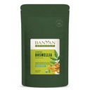 Banyan Botanicals Boswellia Powder – Organic Frankincense Resin (Boswellia Serrata) – Traditional Ayurvedic Joint Health Supplement* – 1/2 lb. – Non-GMO Sustainably Sourced Vegan