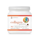 Youtheory Collagen Powder - 20 g Hydrolyzed Collagen Peptides - with Vitamin C, Biotin & Amino Acids - Supports Joint & Bone Health* - Chocolate - 20 oz (21-Day Supply)