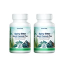 Blood Sugar Blend with Bitter Melon & Cinnamon Extract, Healthy Blood Sugar Levels, Metabolic Wellness & Energy Support for Men & Women, Vegetarian, Non-GMO, 45 Capsules, Mon & Dad Gifts, 2 Pack