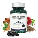 Shilajit for Men Women, Shilajit with Naturally Fulvic Acid & L-Arginine, Himalayan Shilajits for Extra Power, Stamina & Immune Support, Non-GMO, 60 Capsules, 1,300mg Per Serving
