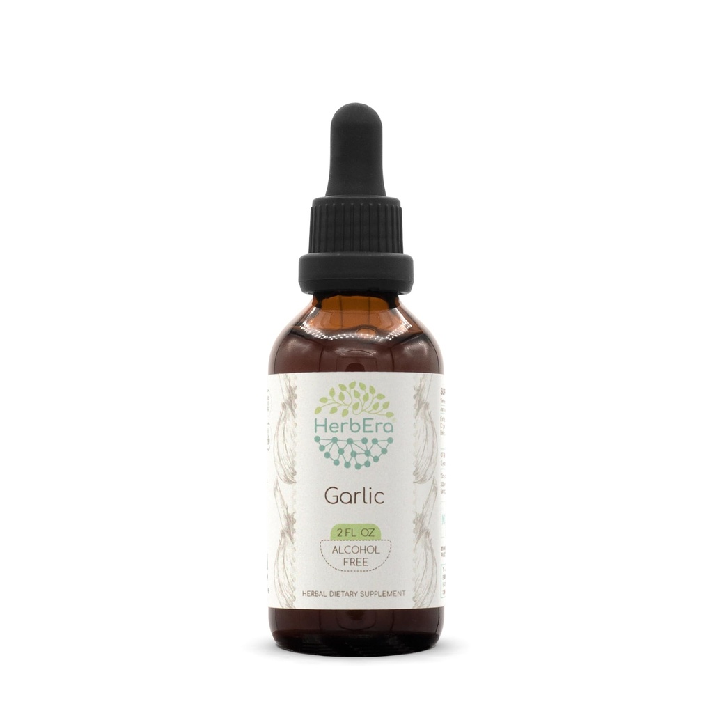 HerbEra Garlic B60 Alcohol-Free Herbal Extract Tincture, Concentrated Liquid Drops Natural Garlic Dried Powder (2 fl oz)