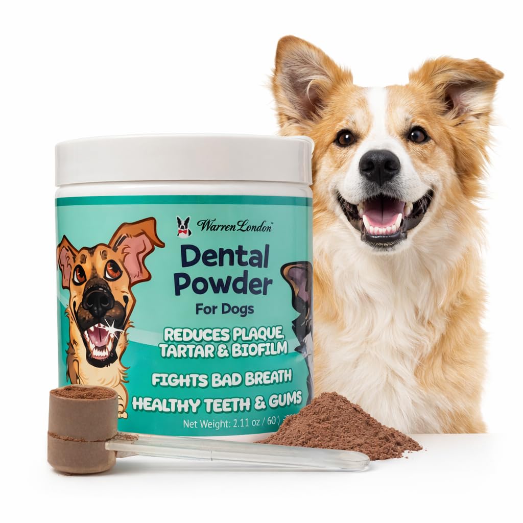 Warren London Premium Dental Powder for Dogs – Fresh Breath & Tartar Support with Kelp Astaxanthin Green Tea & Mint – Daily Oral Care Supplement for Teeth & Gums – Made in USA 60g