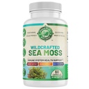 Organic Sea Moss | Immune Support & Brain Health | Bladderwrack, Burdock Root & Bioperine | All Natural, Dairy Free, Gluten Free | 60 Capsules | Made in The USA.