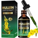 ANKUY Mullein Drops for Lungs - Lung Cleanse,Powerful Mullein for Immune Support,Detox & Respiratory Support,Mullein Leaf Extract for Lungs,Herbal Supplements - 2 Fl Oz (Green)