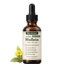 Pulmoria Wild Mullein Lung Drops – Herbal Respiratory Support with Cordyceps, Bromelain, Ginger & Lemon Peel – Liquid Mullein Extract for Clear Breathing & Lung Wellness – Vegan Non-GMO, 2 Fl Oz