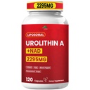 VPKIN Liposomal Urolithin A Supplement,with NAD+,CoQ10,PQQ,Resveratrol,120 Capsules(Pack of 1