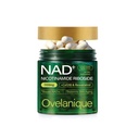 NAD Supplement with Nicotinamide Riboside & Resveratrol |NMNH Supplement Alternative| NAD+ Complex with Quercetin Phytosome & CoQ10 | Liposomal Delivery,120 Capsules(Packaging May Vary)