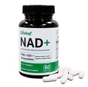 NAD+ Supplement 300mg, Liposomal NAD Boost with PQQ, Astaxanthin, Folic Acid, Vitamin E, High Purity NAD Supplement for Anti-Aging, Cell Longevity, Energy Metabolism - 60 Capsules