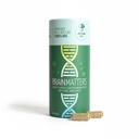 BrainMatters Nootropic Supplement with Bacopa, Ginkgo Biloba, Lion's Mane Mushroom, B Complex, NAD, Choline for Memory, Focus.