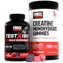Force Factor Performance Bundle: Δοκιμή X180 Max T-Booster (60 Mixed Berry Gummies) & Creatine Monohydrate 5g (150 Watermelon Gummies)
