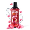 InnoSupps Volcarn 2000 - L-CARNITINE Pre-Workout Advanced Energy Liquid ATP Enhancer w/GBEEC Boosts Energy, Enhances Focus, Cognition & Supports Fat Metabolism, 32 Servings - Pink Starblast Flavor