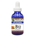 Vinco Inc – Liposomal Vitamin B12 Energy Support Daily Supplement | 60 ml (60 Servings) | Supports Energy Metabolism & Nervous System Health | Gluten Free & Vegetarian