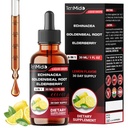 Echinacea Goldenseal Tincture - 6in1 with Vitamin D3, Vitamin C, Zinc, and Elderberry - Immune System Support - Vegan, Non-GMO - 30ml 1 Fl Oz