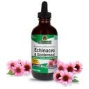 Nature's Answer Echinacea and Goldenseal | Supports a Healthy Immune System | Non-GMO, Alcohol-Free, Gluten-Free & Kosher Certified 4oz