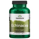 Swanson ECHINACEA W/GOLDENSEAL Root 250 CAPS