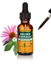 Herb Pharm Alcohol-Free Golden Echinacea Liquid Glycerite with Goldenseal for Immune System Support - 1 Ounce