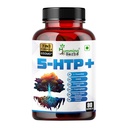 Humming Herbs 5-HTP+ Complex — with L-Theanine, L-Tryptophan, GABA, Valerian, Chamomile & Passionflower — 650 mg per Serving — 90 Vegetarian Capsules