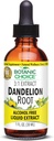 Botanic Choice Dandelion Root, Αλκοόλ δωρεάν υγρό εκχύλισμα-Παραδοσιακή υποστήριξη για την υγεία του ήπατος, καθαρισμού τοξινών, Aid Digestion-1 ρευστή ουγγιά