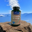 Na'trition Astragalus Herbal Tonic Qi Energy