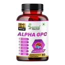 Humming Herbs Alpha GPC 300mg + CDP Choline Nootropic Brain Supplement - Memory Focus Mental Clarity - Lion's Mane, Bacopa, L-Theanine, Phosphatidylserine - 13-in-1 Formula - 90 Capsules