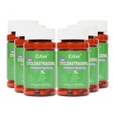 CAW Nano Cycloastragenol 98% 25mg 30 Caps | Telomerase Activation DNA Repair | Immunity Boost Better Absorption | Enteric-Coated Vegetarian Capsules (6 Bottles)