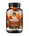 Sea Moss Capsules with Burdock Root, Bladderwrack & Muira Puama support immunity, gut health & energy. Made with raw Irish sea moss powder-120 nutrient-rich superfood capsules-60 Capsules