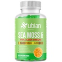 Sea Moss Gummies with Apple Cider Vinegar, Burdock Root & Bladderwrack - Seamoss Gummies for Immune Support - Vegan, Non-GMO, Gluten-Free - 60 Count - Natural Detox Supplement