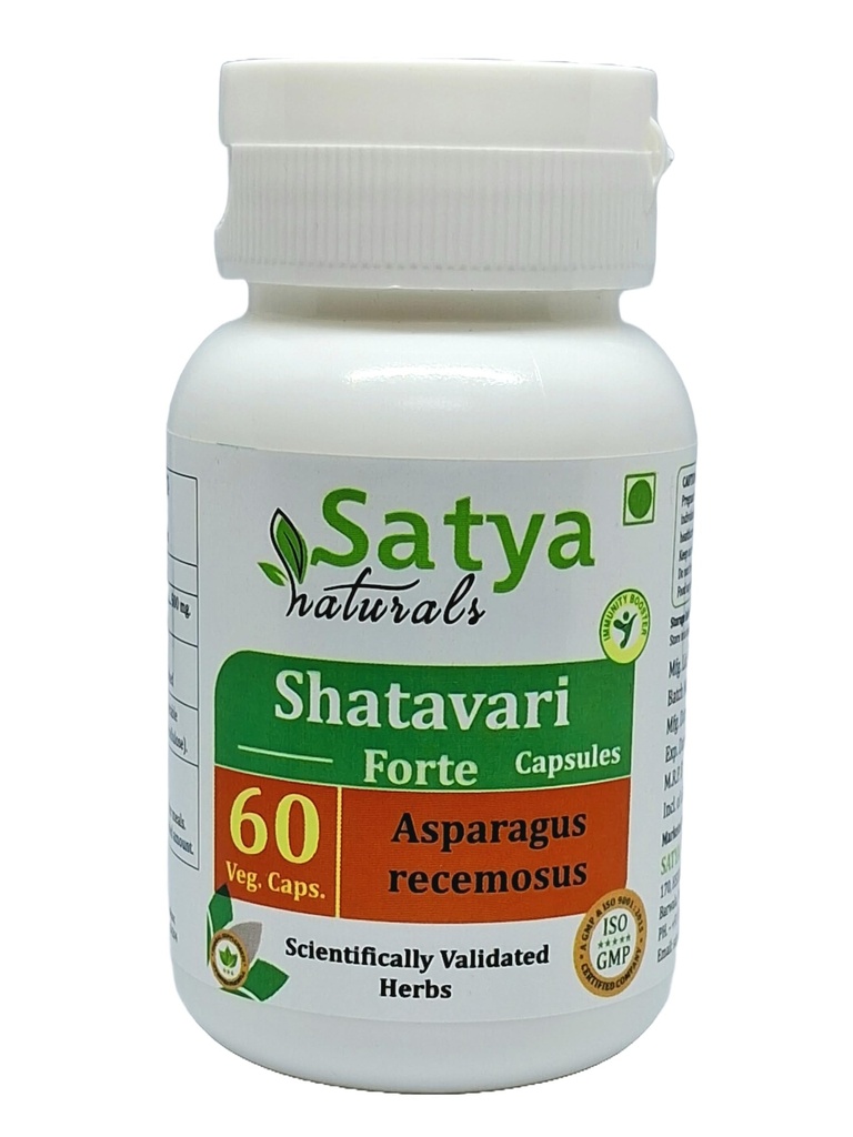 Generic Capsule Shatavari Forte (Asparagus racemosus) Capsules, Pack of 60 x 500 mg. Veg. Capsules (Set of 1)