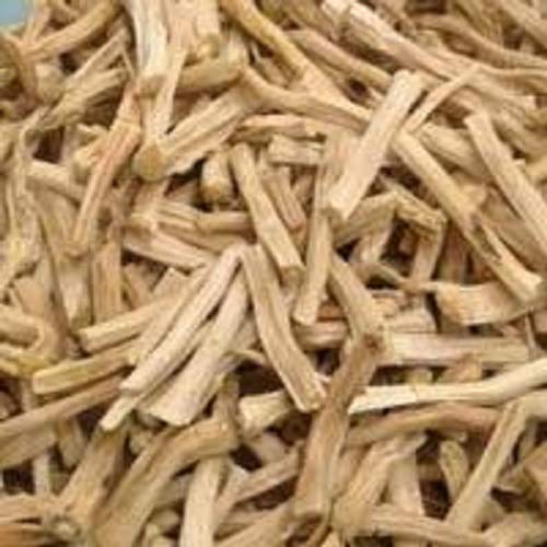 Shatavari/Shatavri/Indian Aspragus/Satavar/Shatamuli/शतावरी – 100g