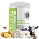 Εντερικό Fortitude Ενισχυμένο Colostrum Superfood Dietary Συμπλήρωμα: Grass-Fed New Zealand Bovine Colostrum, Gold Kiwifruit, Manuka Honey, για Digetion, ανοσοποιητικό σύστημα, και Gut Health (150 Grams)
