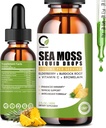 Sea Moss Drops 2000mg, Irish Sea Moss Supplement Supports Immunity, with Black Elderberry, Burdock Root, Bromelain, Vitamin C & Zinc, 2 Fl.Oz, Ανανάς Γεύση