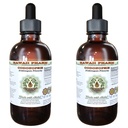 Hawaii Pharm Codonopsis Alcohol-Free Liquid Extract, Professional Grade, Small Batch Codonopsis Pilosula Dried Root Glycerite 2x2 oz